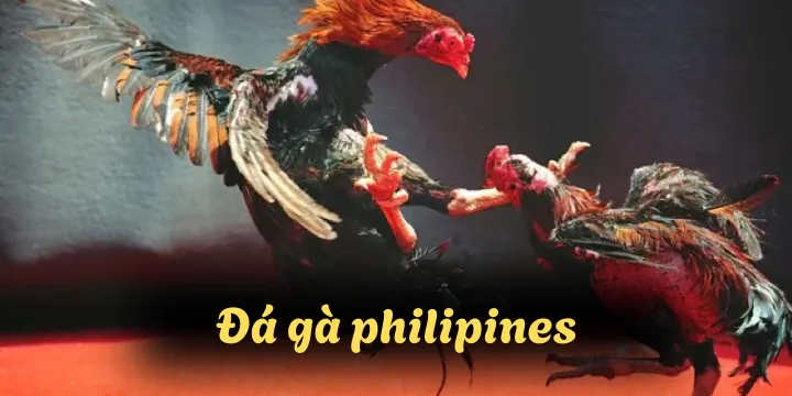 da ga philipines 789club