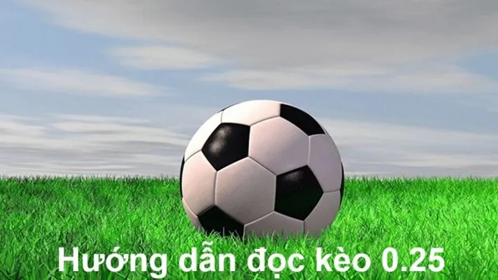 Hướng dẫn đọc kèo 0.25 đúng cách